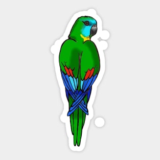 Turquoise Parrot Sticker